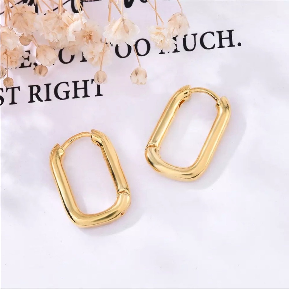 Elegant Gold Hoop Earrings